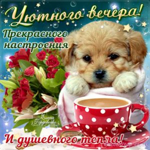 Вечернего тепла открытки уютного вечера
