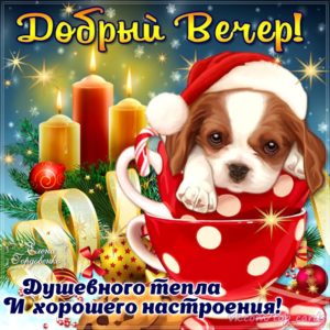 Доброго зимнего вечера открытка
