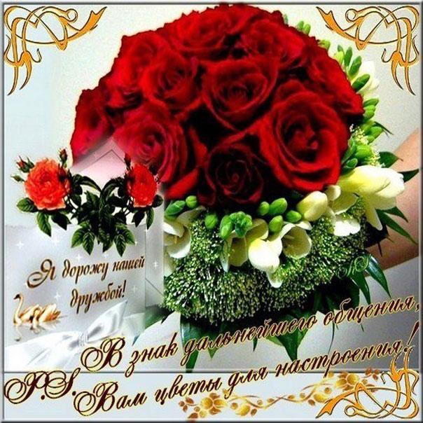 Для дружбы картинки