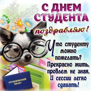 Анимация день студента красивая картинка
