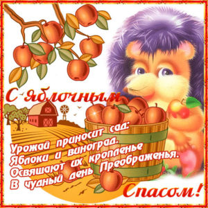 любимой девушке с спасом