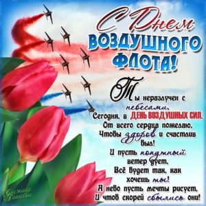 день Воздушного флота