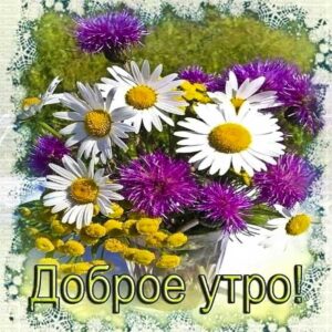 Картинка прекрасного доброго утра. Позитива улыбок, цветы ромашки, текст, красивая надпись, со стихом утро, мигающая, картинки утром, пожелание, картинка.