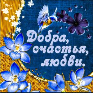 Друзьям пожелание, доброты и счастья, добра счастья любви, для друзей картинка, красивое пожелание, картинка с текстом