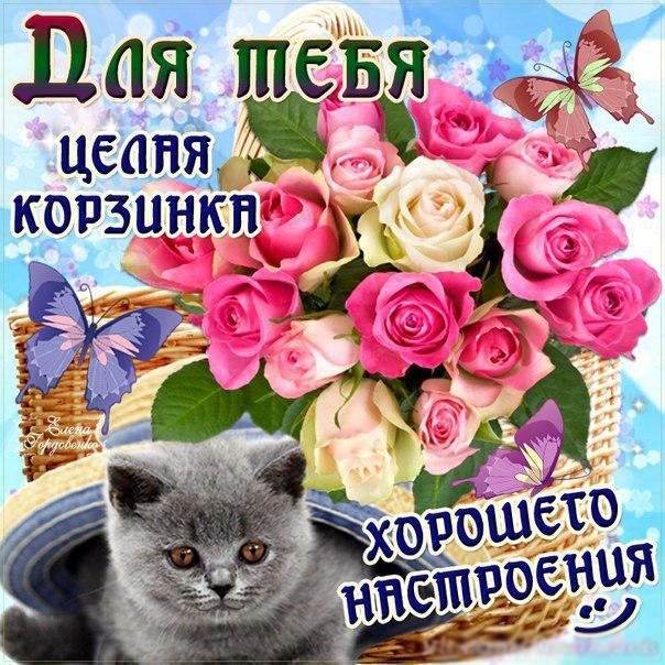 корзина цветов
