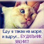 Еду я такая на море