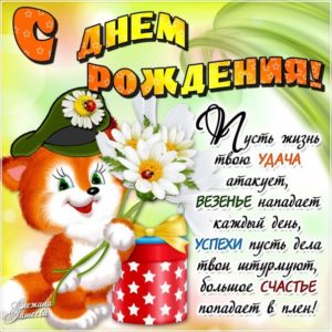 днюха цветы