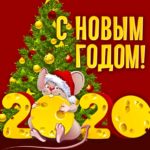 Год белой крысы 2020 картинки