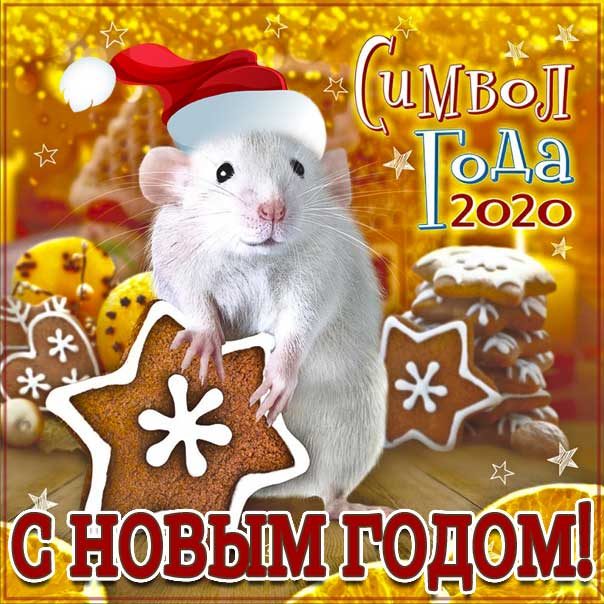 Новый год 2020 крысы открытка