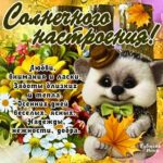 Картинка солнечного настроения