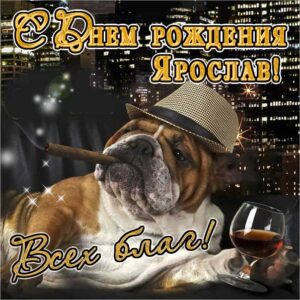 С днем рождения Ярослав картинки, Ярославу открытка с днем рождения, Ярослава с днем рождения, Ярик с днем рождения анимация, Ярославчику именины картинки, поздравить Росю, для Ярославика с днем рождения gif