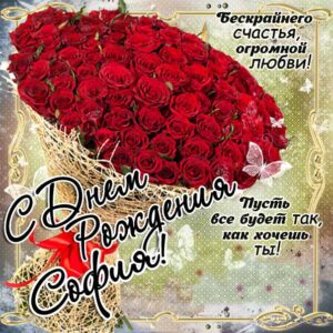 София с днем рождения, Софие открытки день рождения, Софье к дню рождения, Софьюшку поздравить день рождения, Сонечка именины, Софию поздравить ДР