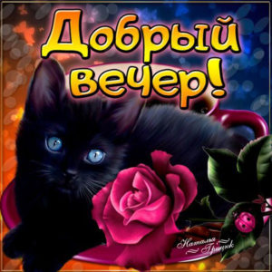 С добрым вечером скачать