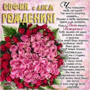 София с днем рождения красивый букет роз, Софие открытки день рождения, Софье к дню рождения, Софьюшку поздравить день рождения, Сонечка именины, Софию поздравить ДР
