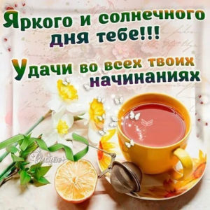 Солнечного дня удачи на весь день