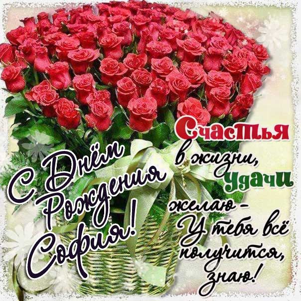 София с днем рождения розы, Софие открытки день рождения, Софье к дню рождения, Софьюшку поздравить день рождения, Сонечка именины, Софию поздравить ДР