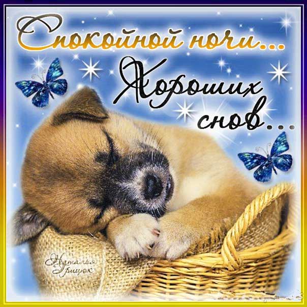 Спокойной ночи, доброй ночи, сладких снов, луна, приятных снов, нежных сновидений, снов хороших, цветных снов, прекрасных снов