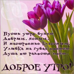 доброе утро, красивое утреннее пожелание, позитива на день, утренняя улыбка, чудесного настроения, тюльпаны утро картинка