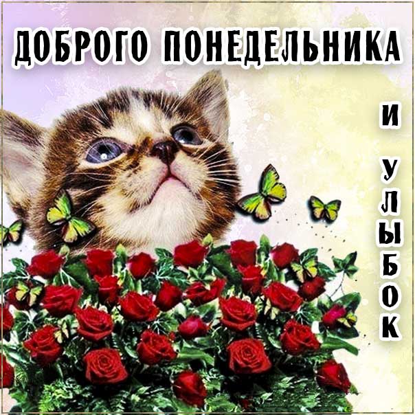 Понедельник, пожелание к понедельнику, доброго понедельника, с понедельником
