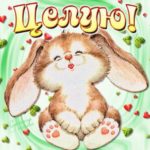 Открытки целую зайка