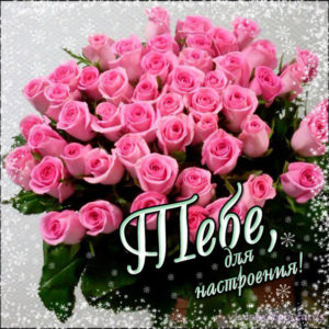 Позитивные открытки красивые розы